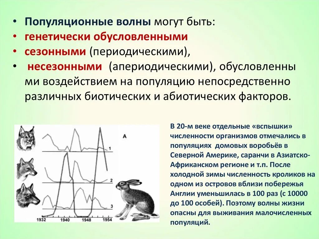 Популяционные волны, "волны жизни"(с. с. Четвериков) -. Волны жизни популяционные волны. Популяционные волны примеры. Колебания численности популяции.