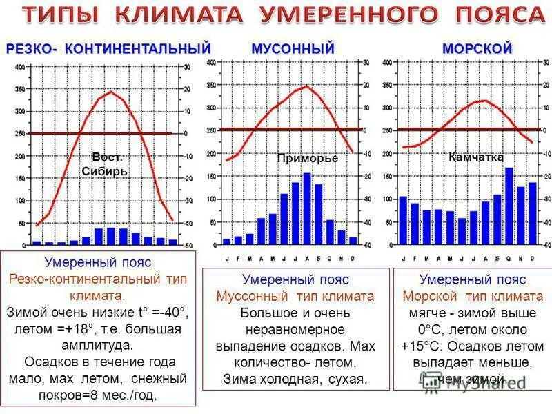 Умеренный климатический пояс морской климат температура