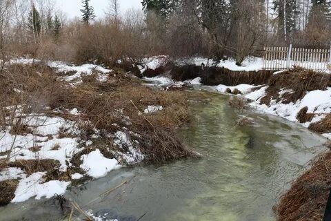 Когда начнет таять снег