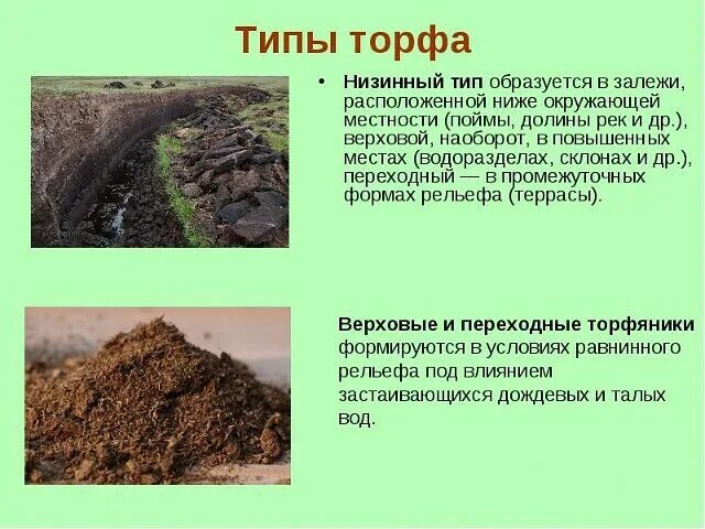 Удобрение из болота. Верховой и низинный торф. Торф низинный. Торфяная почва. Торфяные грунты виды.