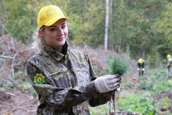 Министерство лесного хозяйства Беларуси. Лесничество в Белоруссии. Женщины в лесничестве. Лесхоз. Сайт млх рб