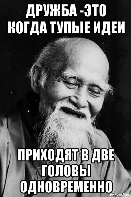 Гениальные мысли приходят. Мемы про дружбу. Смешные мемы про дружбу. Тупые идеи. Мемы с др.