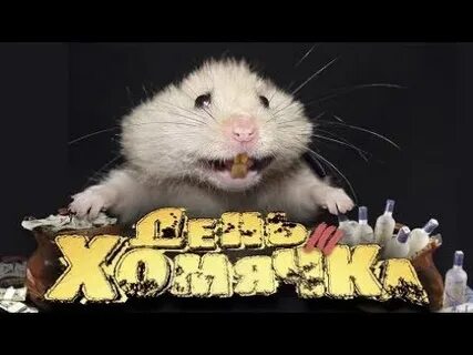 Хомяк 9 июля шмфр