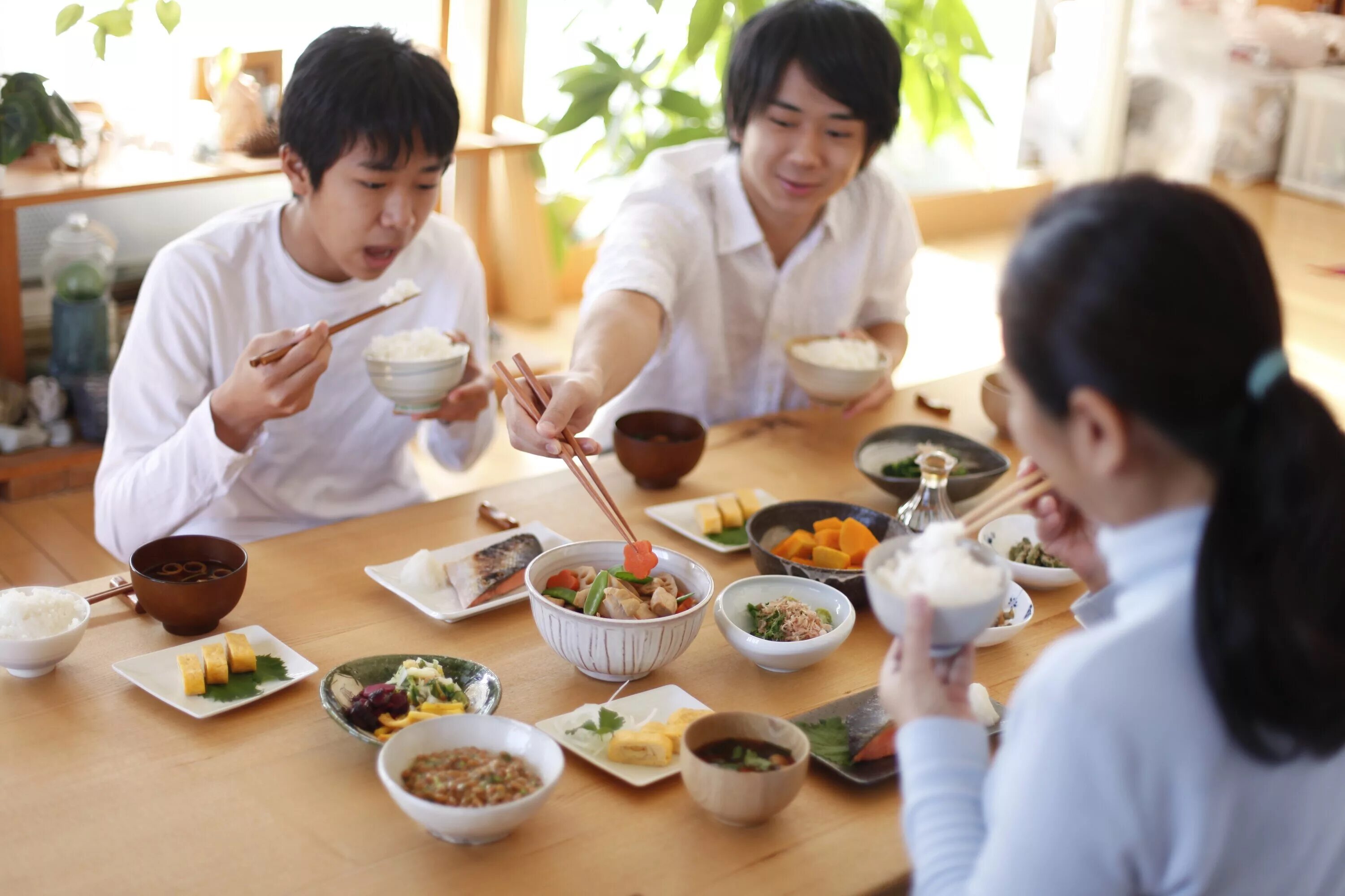 Культура еды в Японии. Японский обед. Трапеза в Японии. Японцы едят палочками.