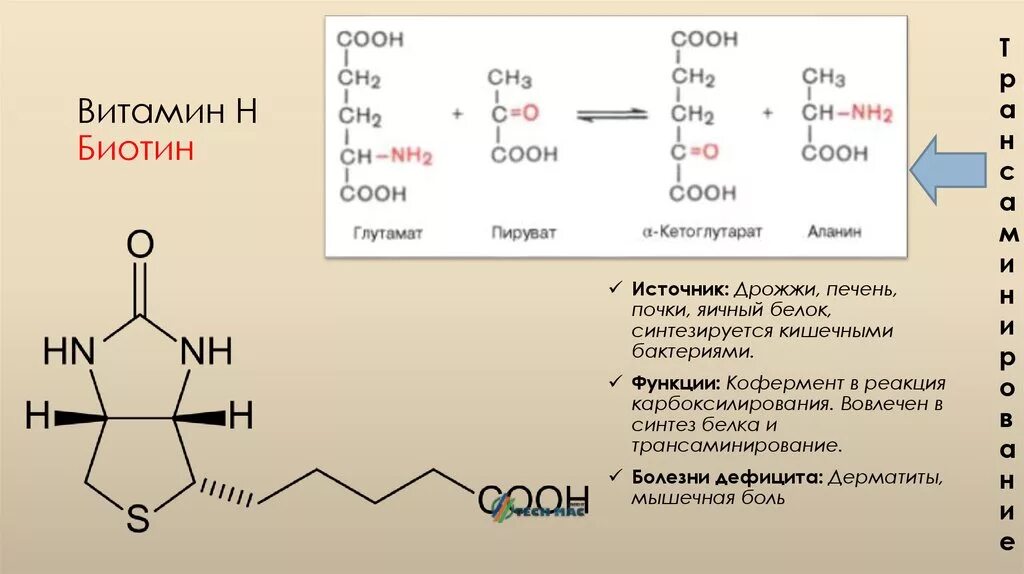 Витамин н что это. Биотин реакции карбоксилирования. Синтез биотина. Биотин биохимия реакции. Реакция карбоксилирования с участием биотина.