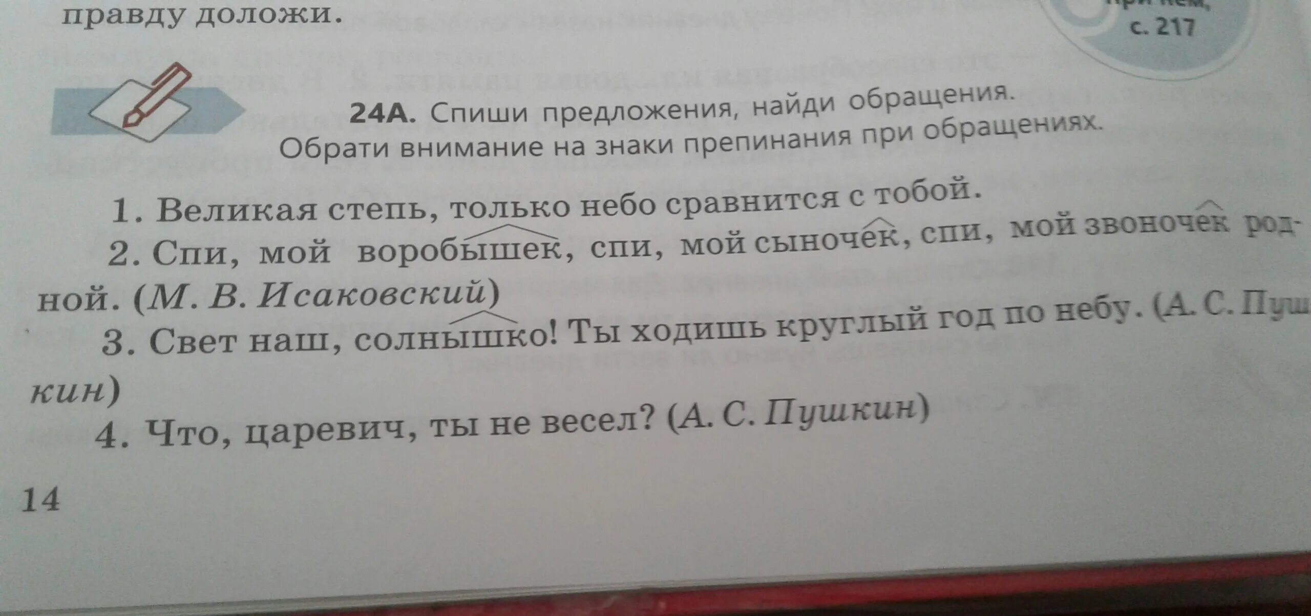 В саду как подчеркнуть в предложении