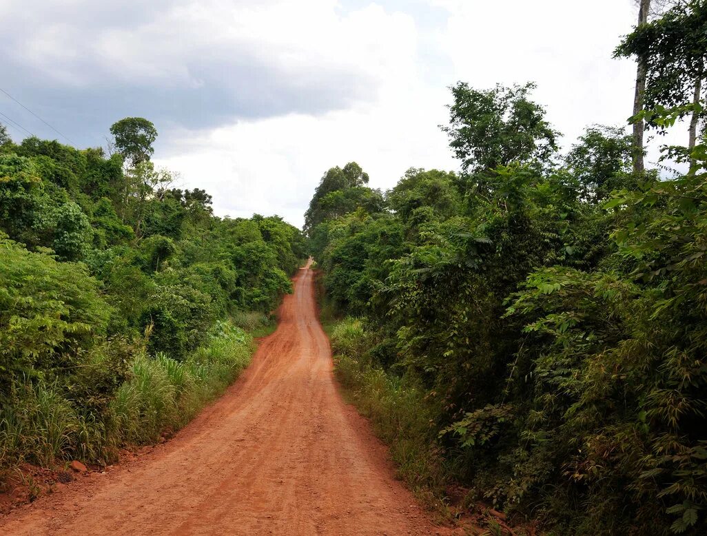 Тропа в тропическом отеле. Дороги джунглей. Путь в тропики. Заросшая железная дорога. Путь в тропики.