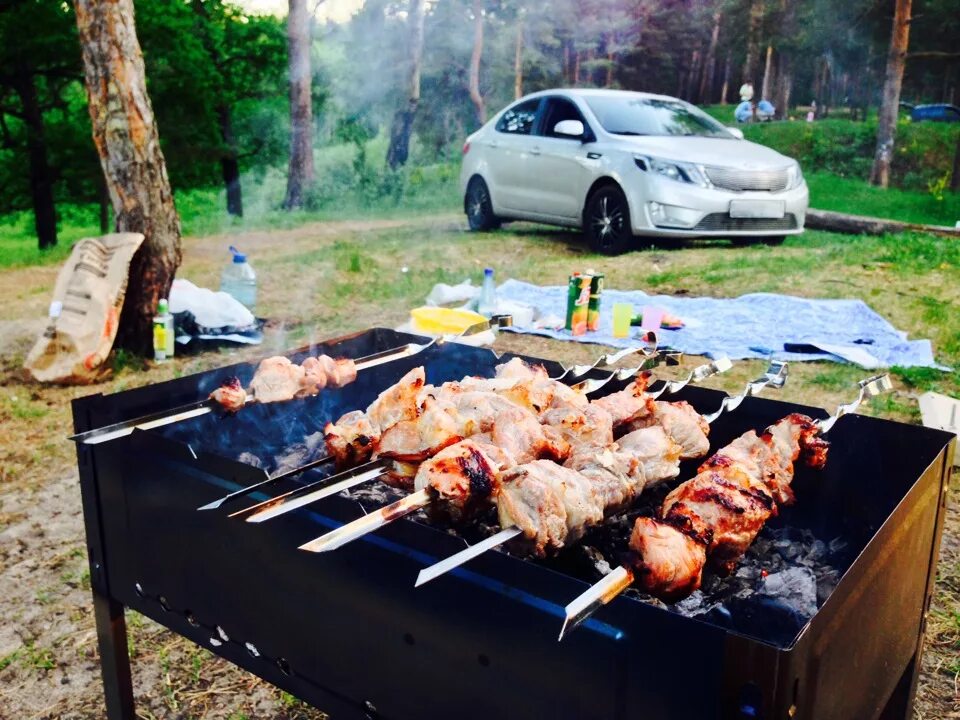 Можно в городе жарить шашлык. Шашлыки на природе. Шашлык барбекю. Шашлыки на природе летом. Шашлык на мангале.