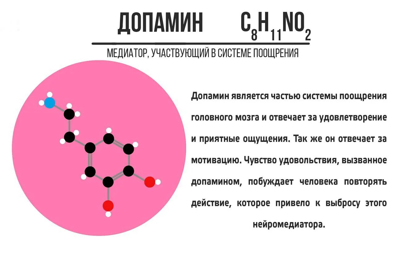 Серотонин является медиатором. Нейромедиаторы дофамин. дофамин является медиатором. нейромедиаторы серотонин. примеры нейромедиаторов.