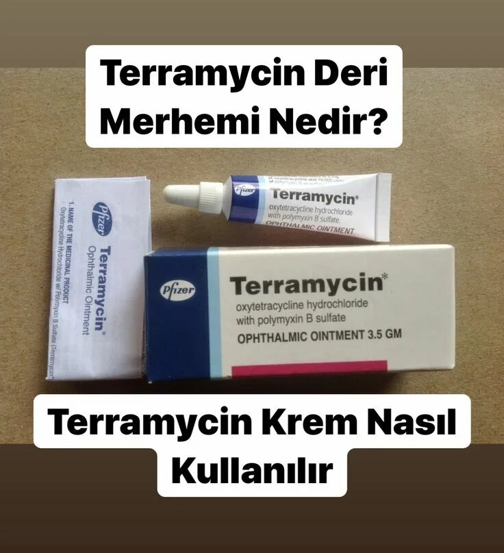 Террамицин мазь. Террамицин глазная мазь. terramycin турецкая мазь. terramycin мазь для человека. террамицин пфайзер мазь.