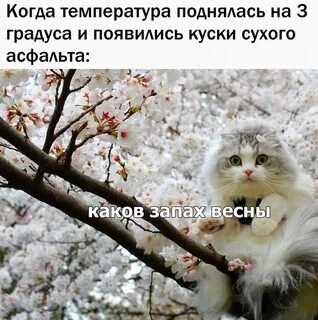 Провожу весну