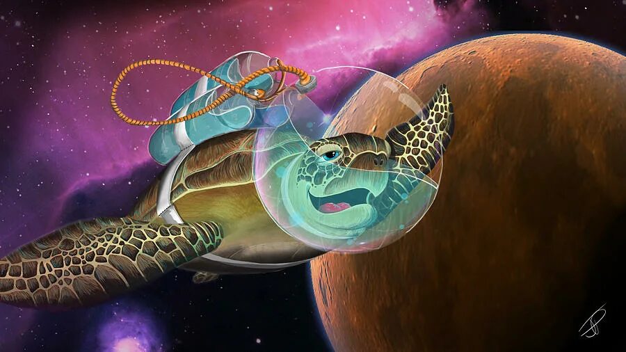 Какие живые существа были в космосе. Великий Атуин. Черепахи в космосе. Черепаха в скафандре. Черепахи космонавты.