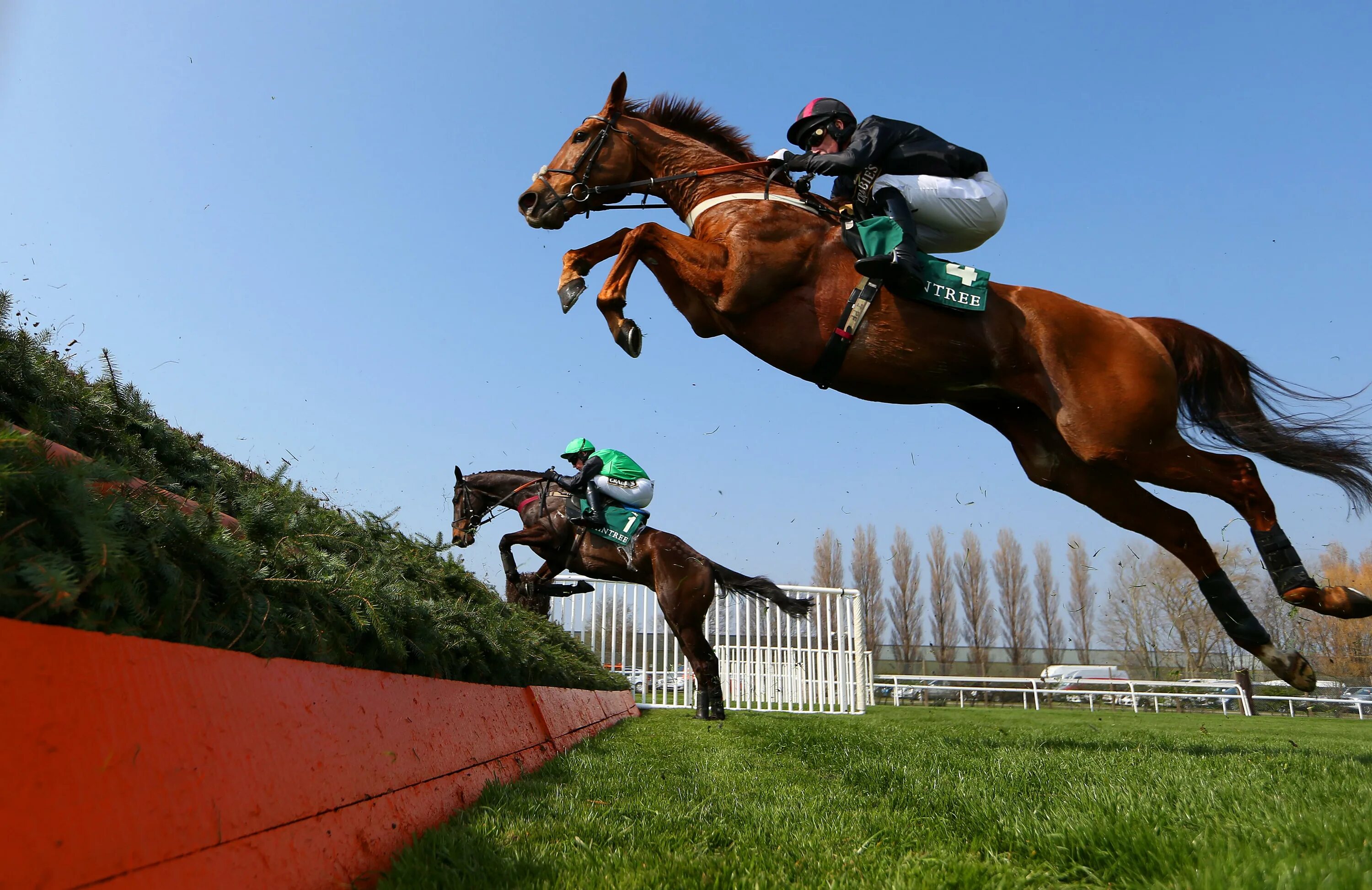 Сколько бежит лошадь. Скачки Grand National. Grand National Horse Race в Британии. Стипль Чейз. Скачки лошадей ставки.