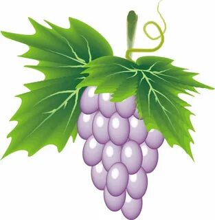 Виноград детский