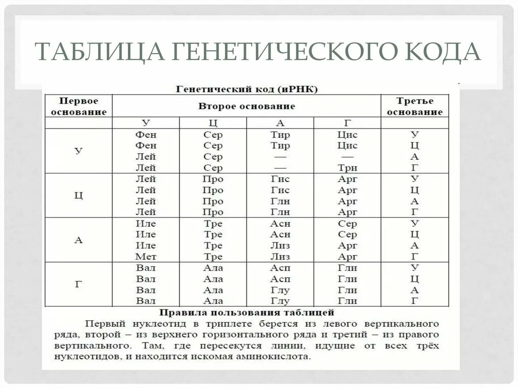 Из днк в ирнк таблица. Таблица генетического кода ИРНК таблица. Таблица генетического кода РНК по биологии. Генетический код таблица биология 10 класс. Таблица генетического кода по биологии 10 класс.