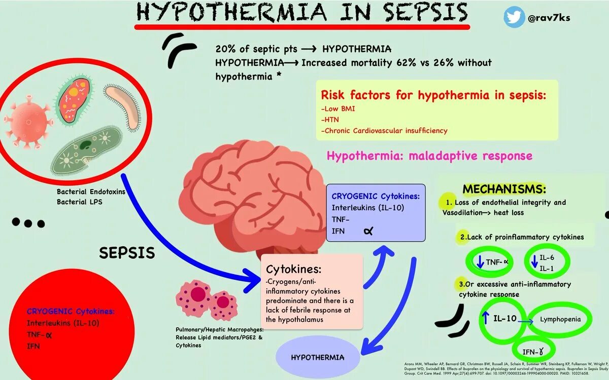 Hypothermia. Survived after Sepsis. Hypothermia Band.