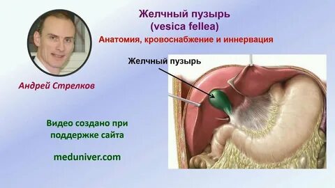 Желчное лицо
