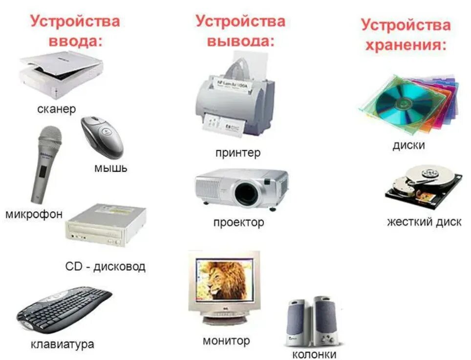 Распредели устройства по группам. Устройства ввода и вывода. Устройства вывода монитор принтер колонки. Устройства вывода ввода хранинение. Монитор устройство ввода.