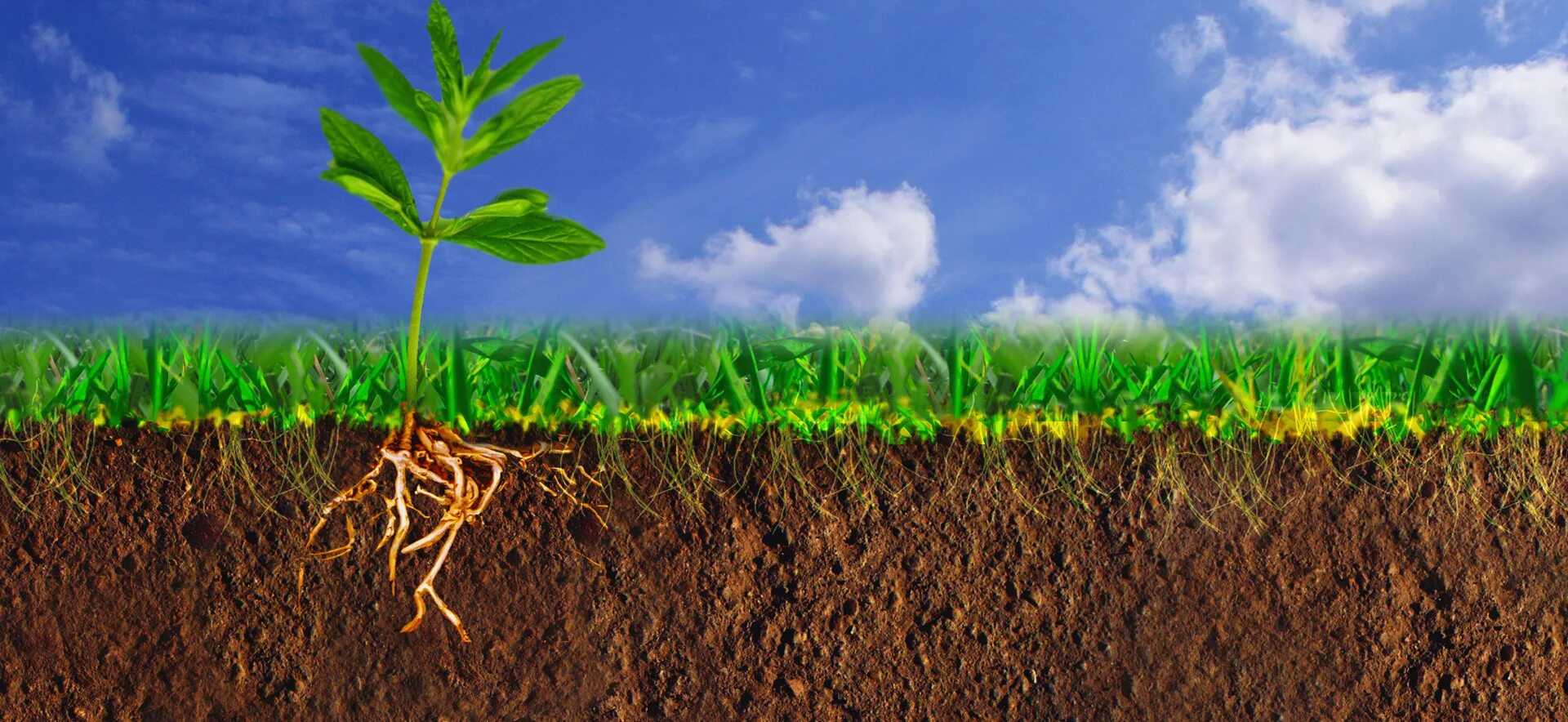 Повышением плодородия земли. Земля почва. Естественное плодородие. Плодородная почва. Плодородие почвы.