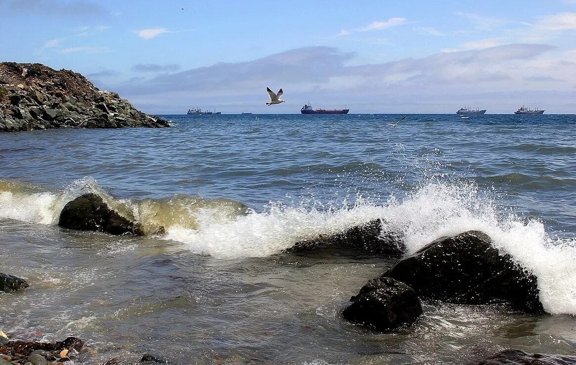 Море владивосток приморье. Пляж шамора владивосток. Японское море. Вода море владивосток. Владивосток черное море.