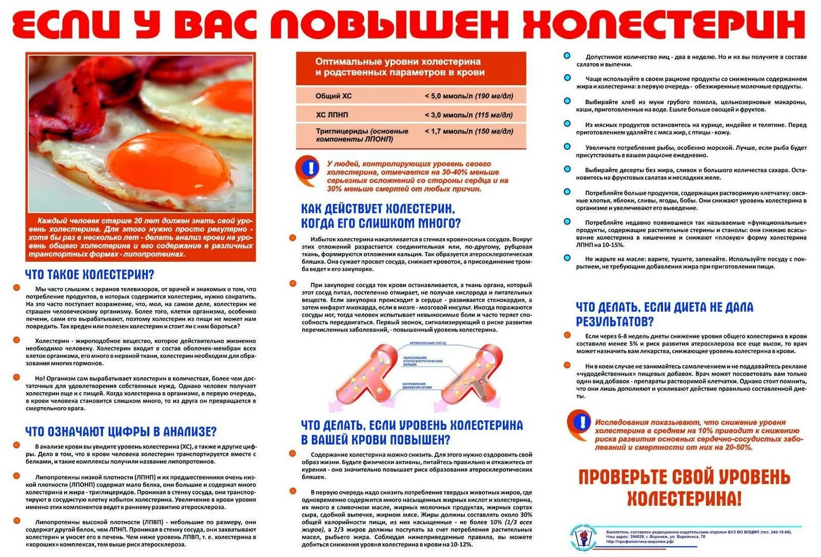 Повышен в крови печенью. Памятка при повышенном холестерине у женщин. Холестерин повышен. Попашенный хоростерин. Памятка для пациента.