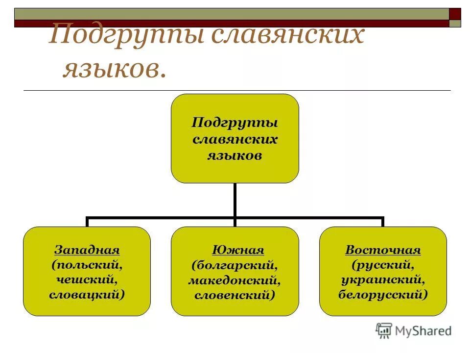 германская группа языков. афразийские языки афразийские языки. маньчжурская языковая семья. панславянская группа языков. типы классификации языков.