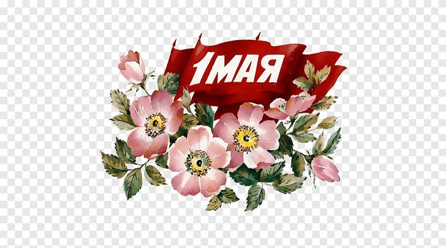 Логотип 1 мая 2025. Первое мая на прозрачном фоне. стикеры с 1 мая. первомай на прозрачном фоне. первомай без фона.