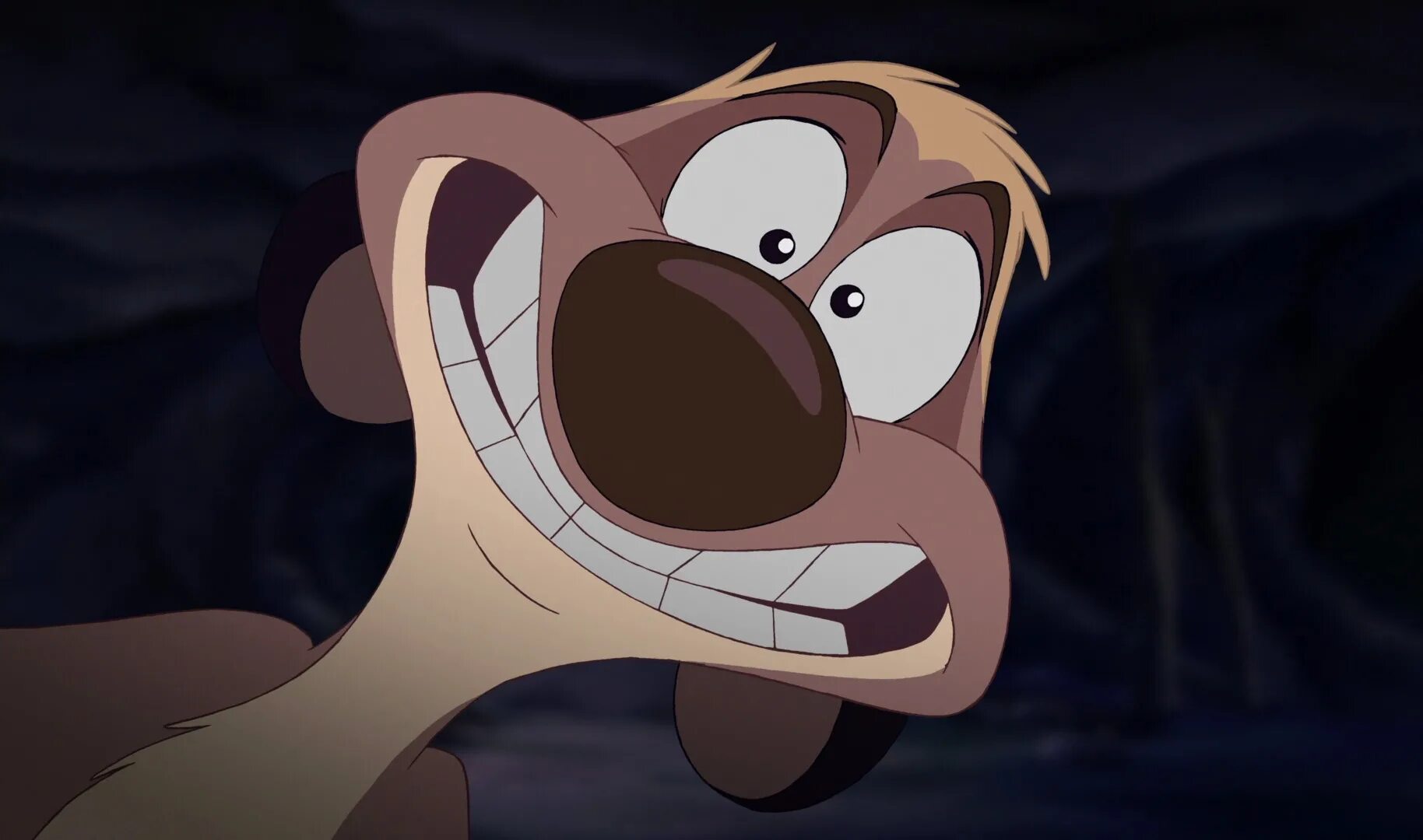 Timon rdd