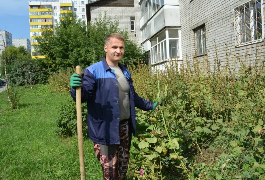 Молодой дворник. Ищем дворника. Сергей ушаков барнаул. Ледокол вместо дворника. Объявление о вакансии дворника образец.