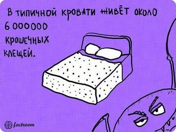 Несуществующие факты. Интересные факты. интересные факты в картинках. интересные факты в картинках прикольные. факты картинка.