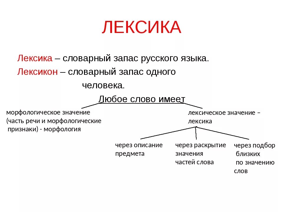 Какие лексические слова есть. Словарный запас. Словарный запас русского языка. Словарный запас русского языка слова. Лексика это словарный запас.