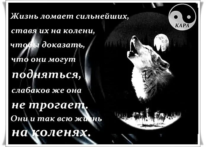 Сломанные жизни 2. Жизнь ломает. Жизнь ломает сильных. Жизнь ломает сильнейших. Жизнь ломает сильнейших ставя их на колени.