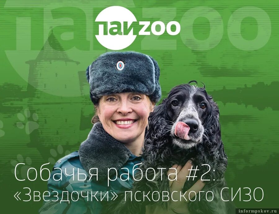 Офисная собака. Юмор про собак. Собака на работе. Собачка в офисе. Собака в автосалоне.