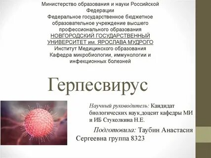 К герпесвирусам относятся