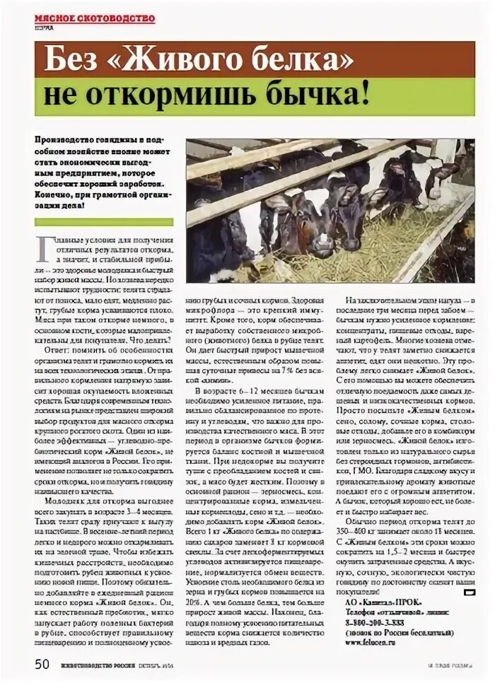 Живой белок инструкция. Живой белок для крс. живой белок для животных инструкция. живые белки для крс. живой белок капитал-прок.