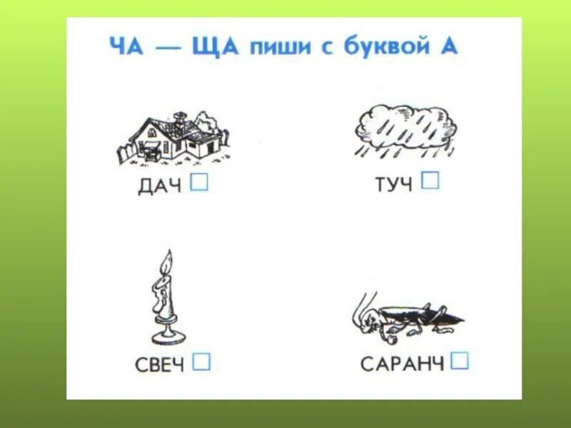 Ча ща задания для дошкольников. Ча ща раскраска. Тема жи ши ча ща Чу ЩУ 2 класс. Жи-ши ча-ща Чу-ЩУ правило в картинках.