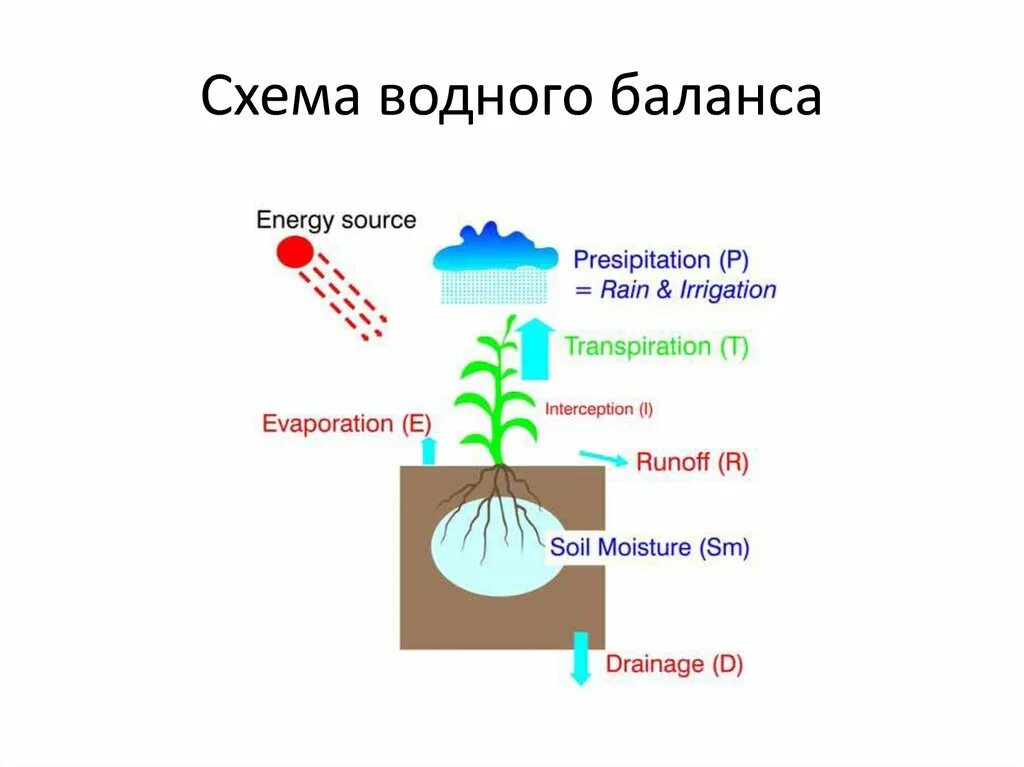 Водный баланс схема. Водный баланс схема. Схема регуляции водного солевого баланса. Водный баланс схема. Водный баланс схема.