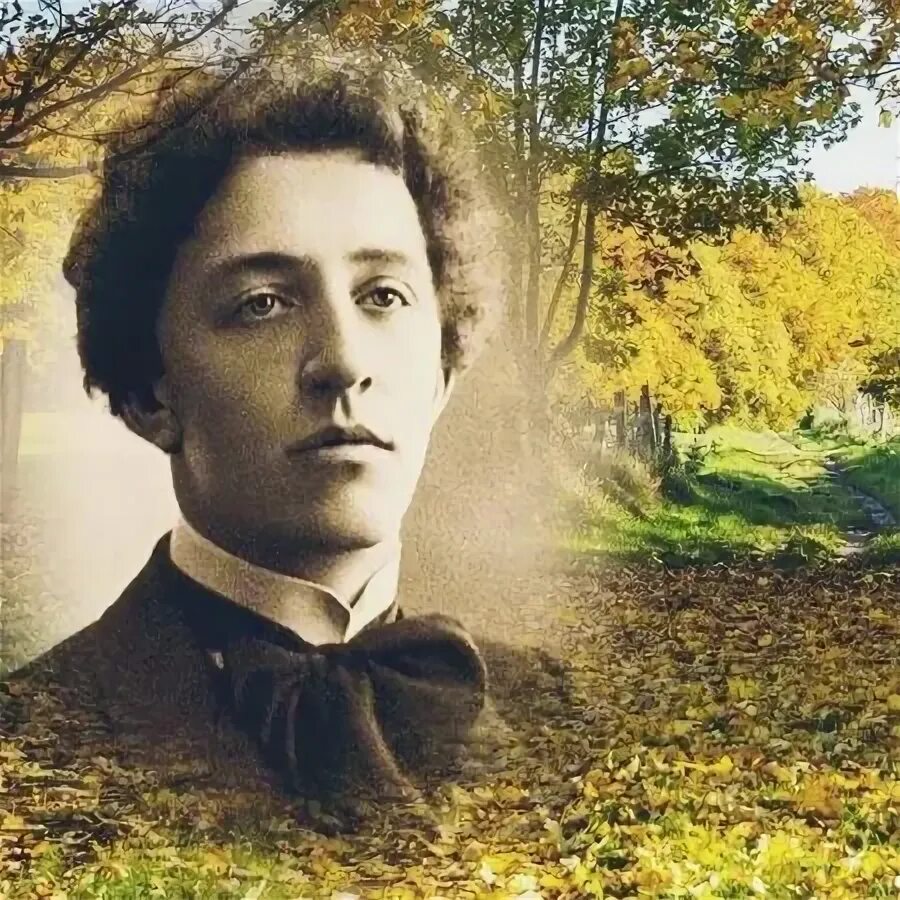 Аккуратисты писатели и поэты Заметки Рины Дзен