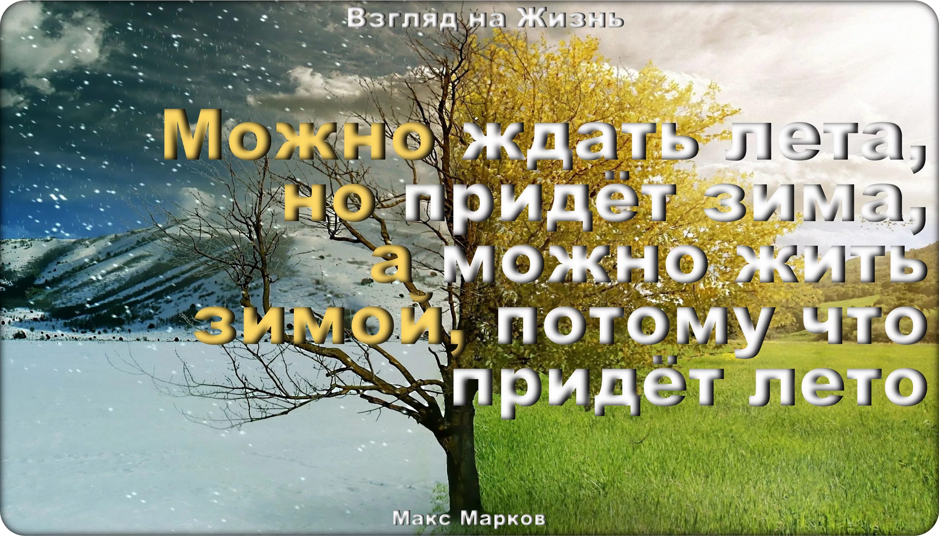 Лето посреди зимы. Лето зимой фразы. Цитаты про лето зимой. Лето среди зимы цитаты. Весну ждали лето ждали текст