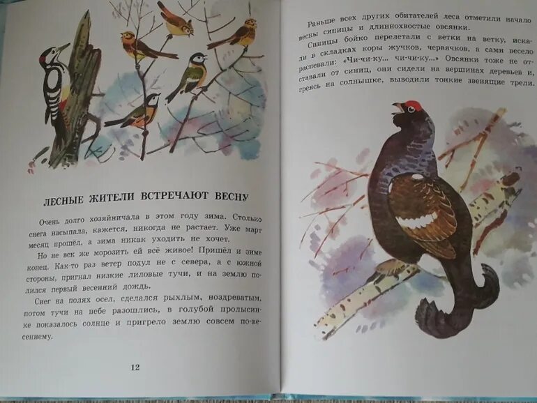 Г скребицкий белая шубка читать. Рисунок к сказке белая шубка. Георгий скребицкий дружба. Скребицкий заяц. Георгий скребицкий белая шубка.