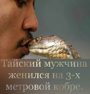 Жена гадюка