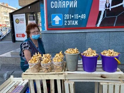 Грибники новосибирска