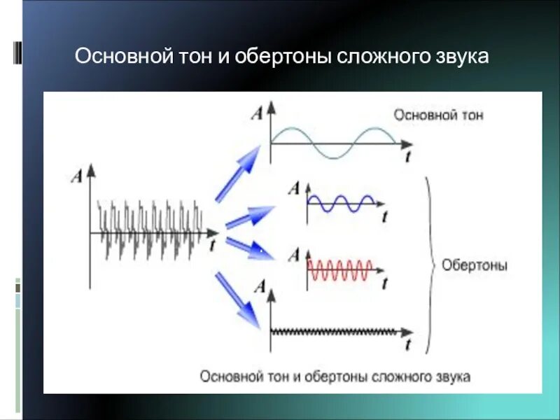 Основной тон и обертоны. В сложном звуке основной тон. Основной тон звука. Обертоны звука. 3 основных звука