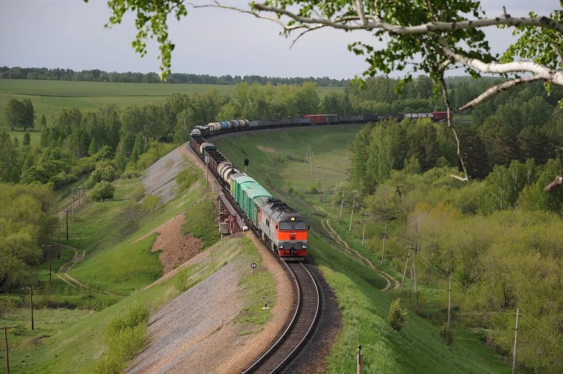 Крас ж д. Западно-Сибирская железная дорога. Зап Сибирская железная дорога. Железная дорога в Алтайском крае. Западно Сибирская ЖД ЖД.