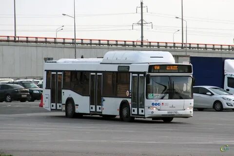 34 а автобус ростов на дону