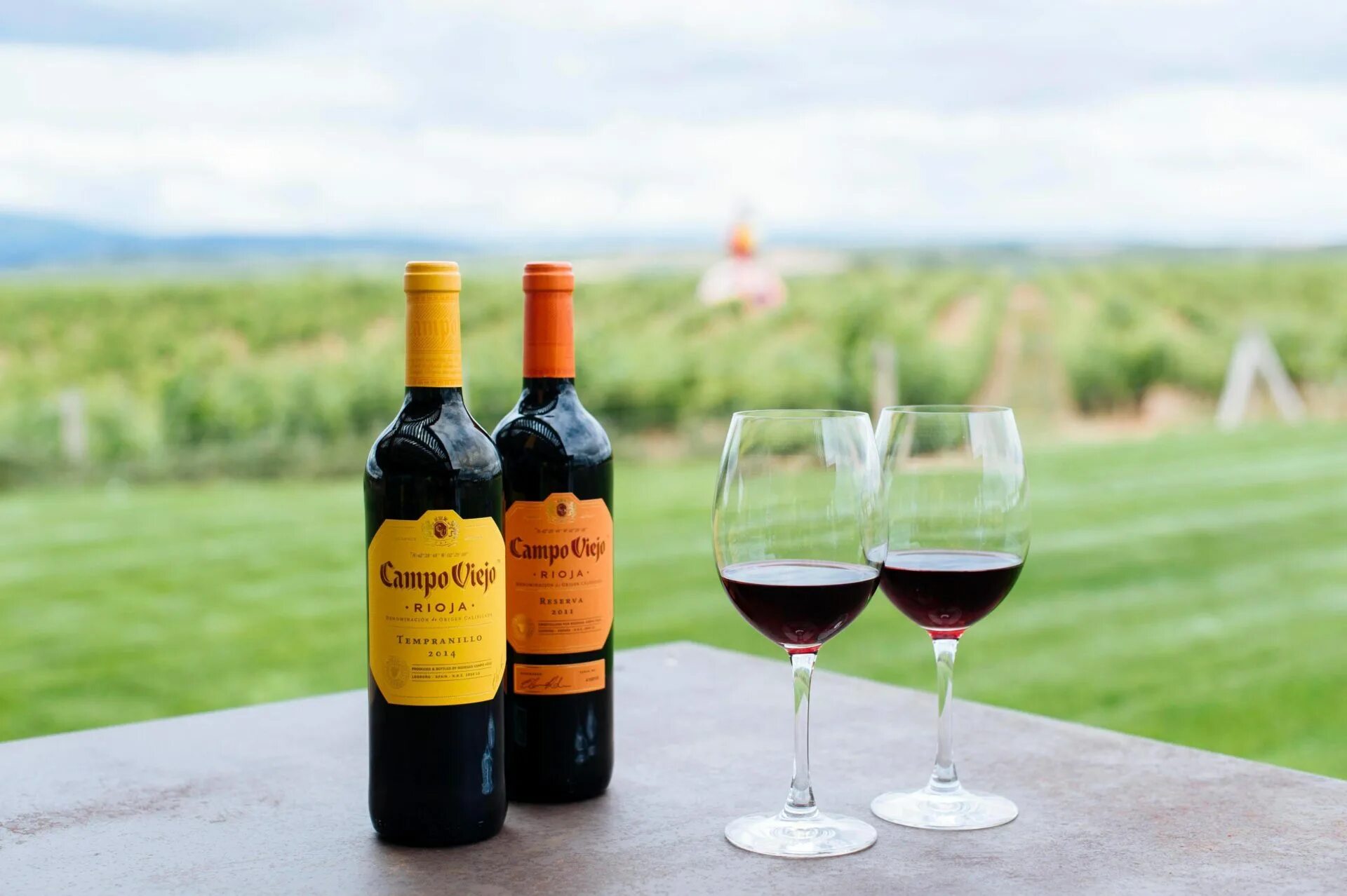 Wine обзор