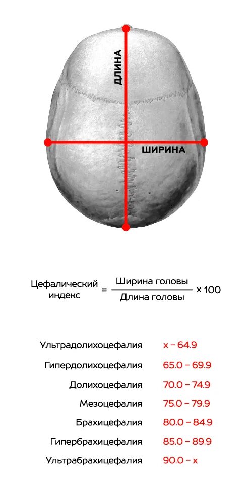 Бпр в 20 недель. Бипариетальный размер головы в 20 недель. бипариетальный размер головы норма. бипариетальный размер головы плода 20 мм. окружность головки плода по неделям беременности таблица норма.