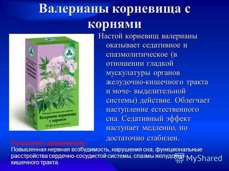 настой корня валерианы. валерьянка настойка. корневища с корнями валерианы сырье. валерианы настойка флакон 25мл. валерианы настойка бэгриф.