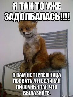 День прошел успешно