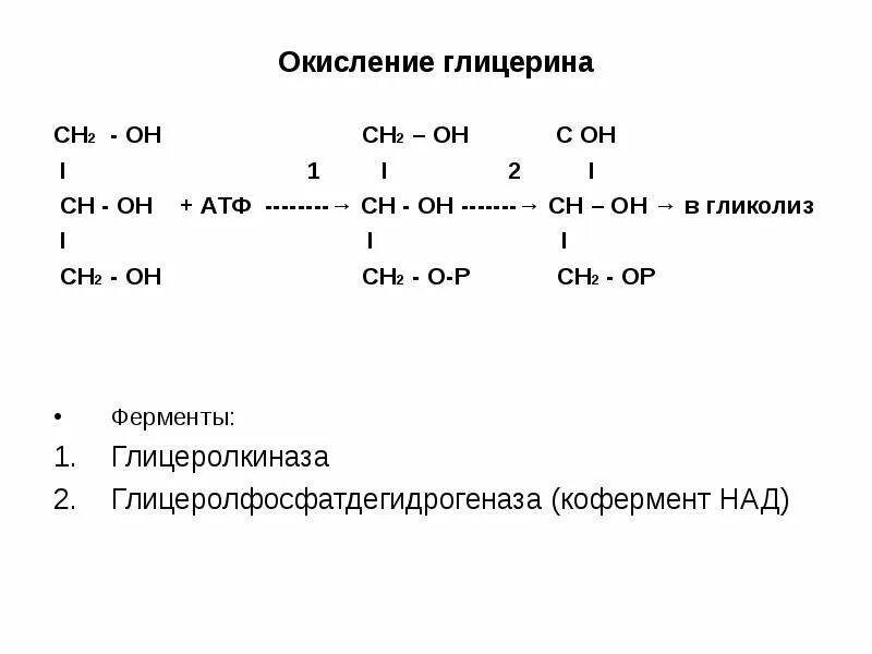 Степень окисления i2. Анаэробное окисление глицерина. схема окисления глицерина. окисление глицерина связь с гликолизом и глюконеогенезом. окисление глицерина биохимия схема.